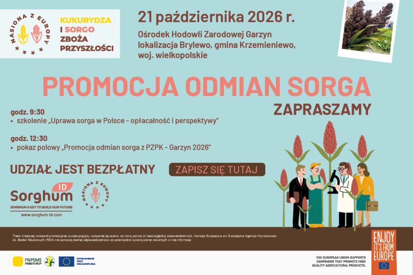Zapraszamy na Dzień Sorga 2026!